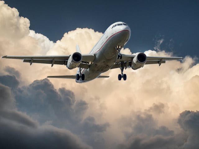 impact între păsări și avioane
